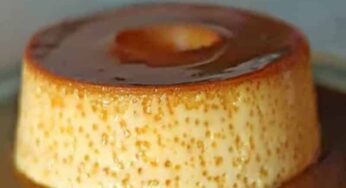 Pudim sem ovo 5 ingredientes não vai ao forno aprendi com doceiro veja –